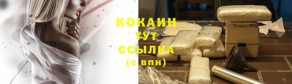 стаф Абдулино