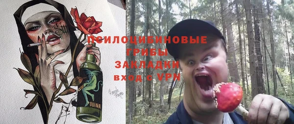 амф Переславль-Залесский